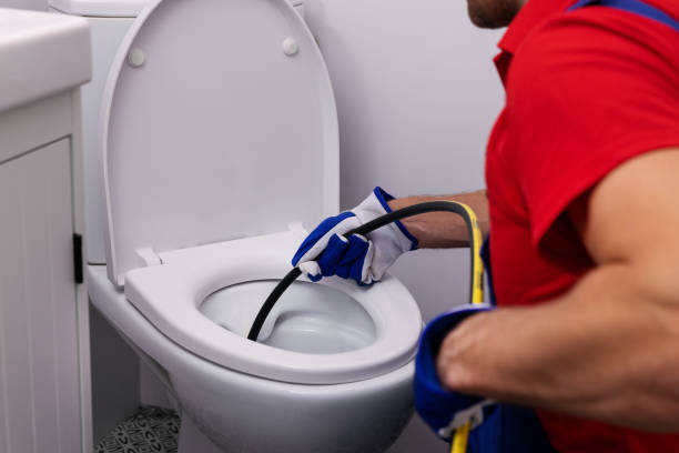 Best Affordable Plumbing Services  in Palmhurst, TX