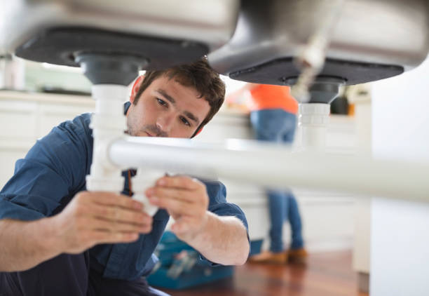 Best Affordable Plumber Near Me  in Palmhurst, TX