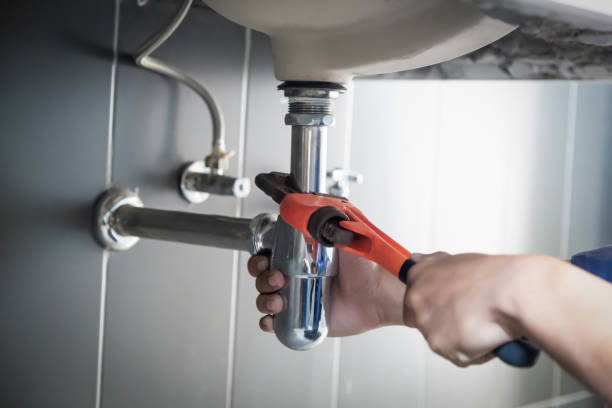 Best Local Plumber Services  in Palmhurst, TX