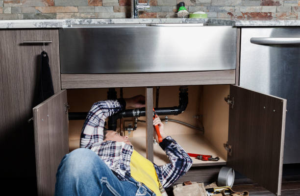 Best Residential Plumbing Services  in Palmhurst, TX
