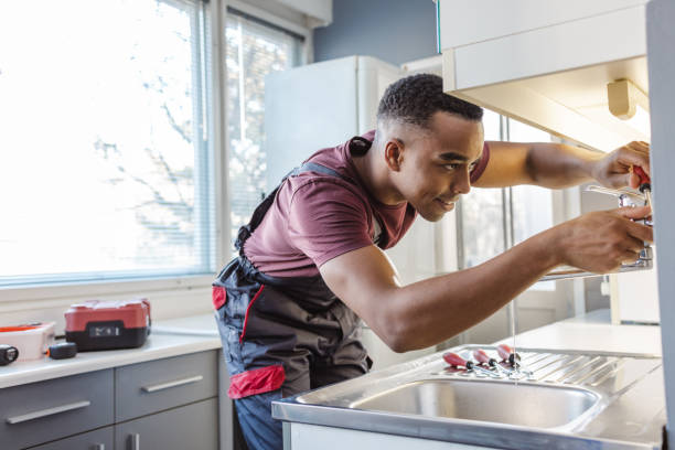 Best Water Softener Installation  in Palmhurst, TX