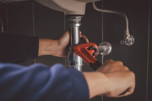 Best Septic Systems  in Palmhurst, TX